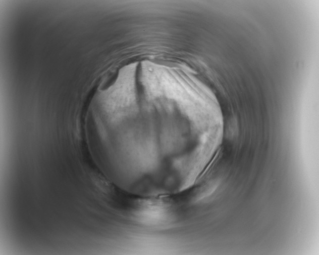 X0000088690524200706211929
