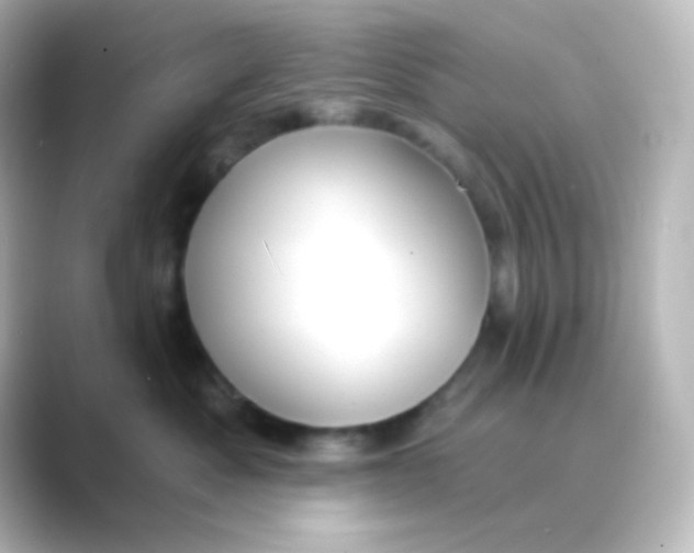 X0000088690525200706211929