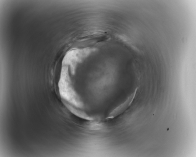 X0000088690528200706211929