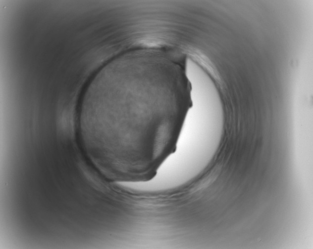X0000088690530200706211928