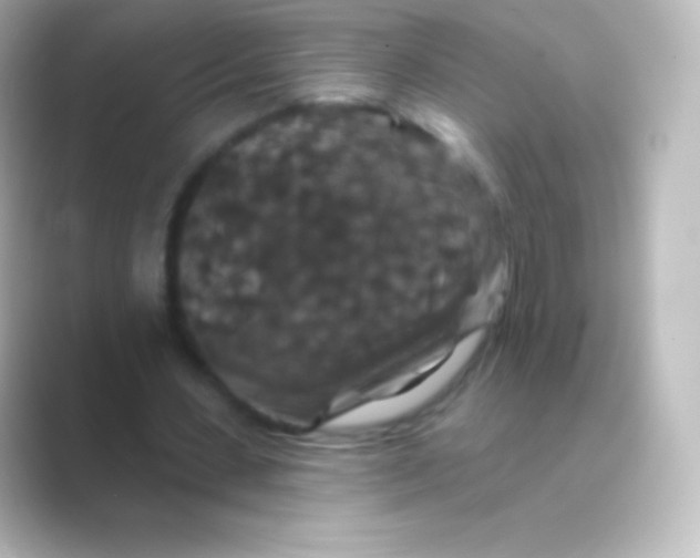 X0000088690531200706211928