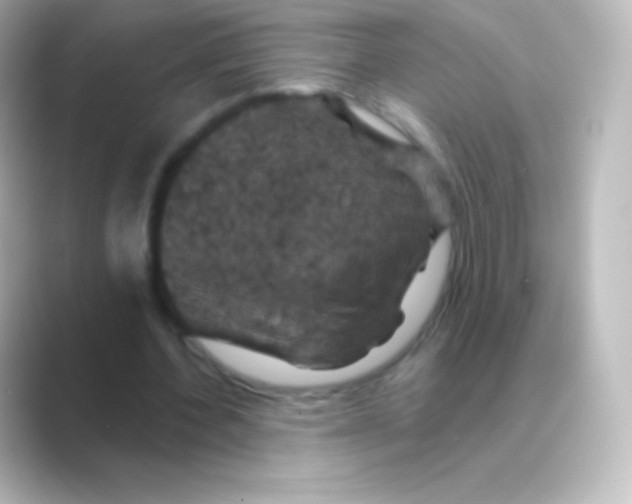 X0000088690532200706211928