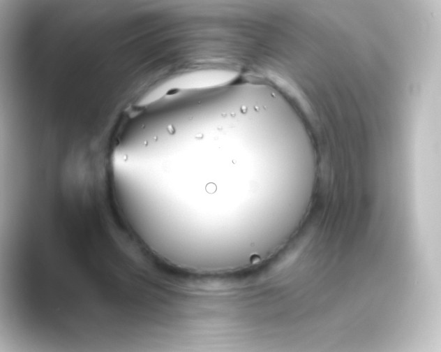 X0000088690533200706211928