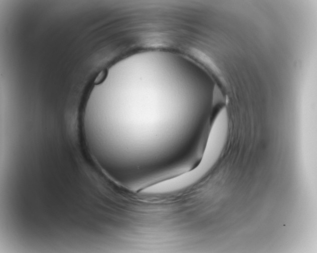 X0000088690535200706211928