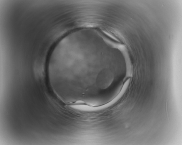 X0000088690536200706211928
