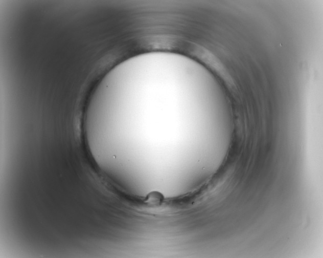 X0000088690537200706211928