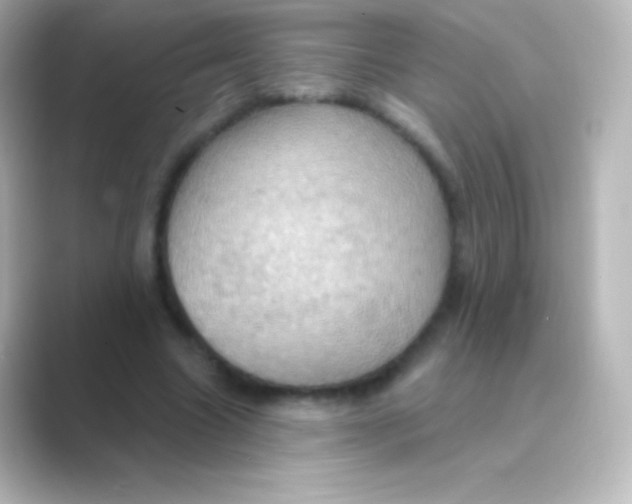 X0000088690538200706211928