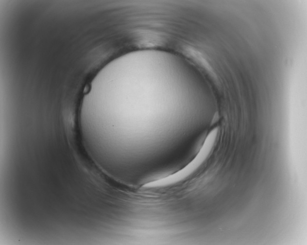 X0000088690539200706211928
