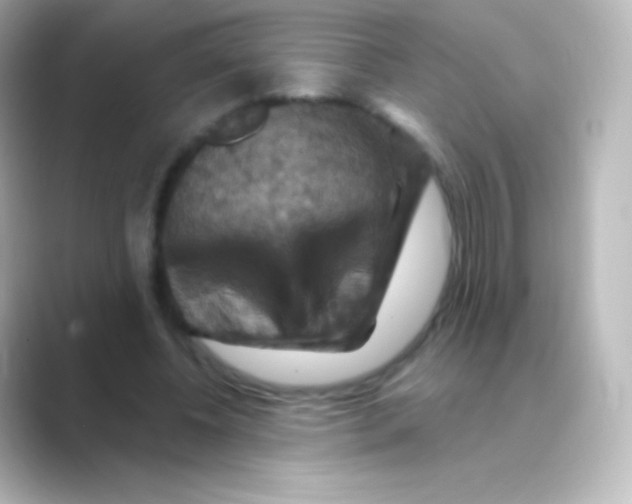 X0000088690540200706211928