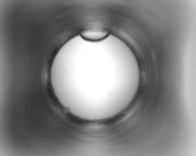 X0000088690541200706211928