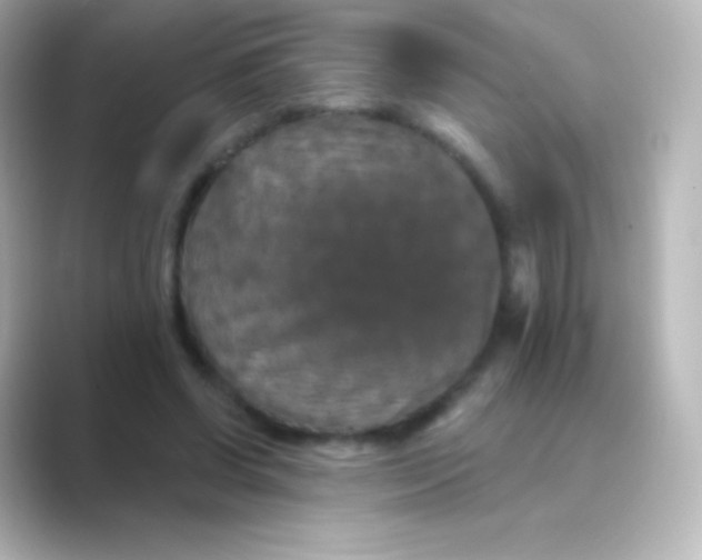 X0000088690542200706211928