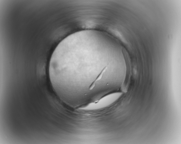 X0000088690543200706211928
