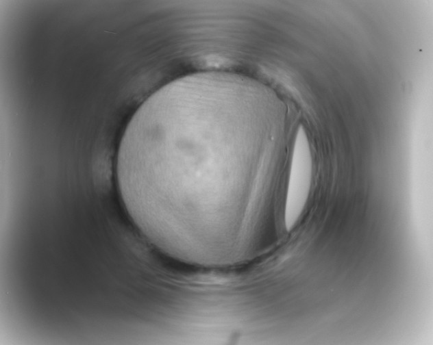 X0000088690545200706211928