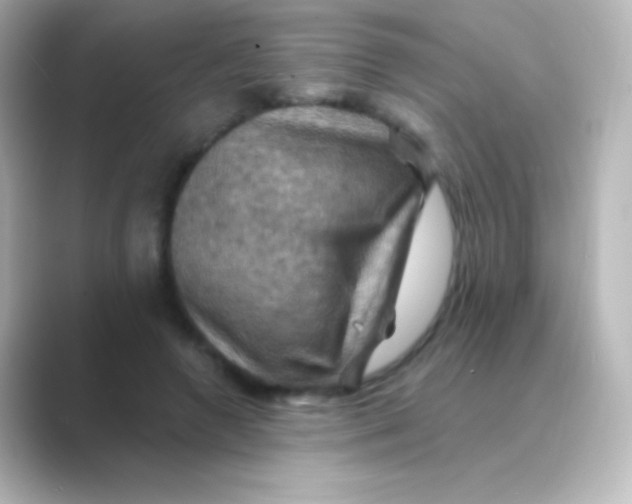 X0000088690546200706211928
