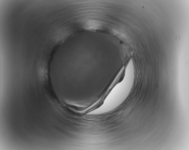 X0000088690547200706211928