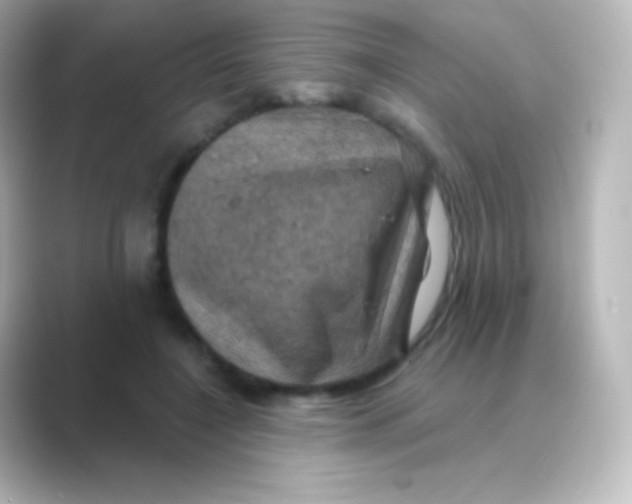 X0000088690548200706211928