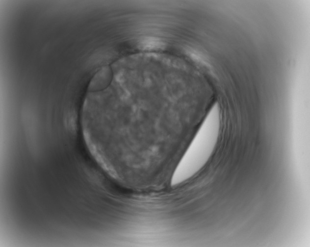 X0000088690550200706211928