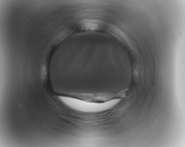 X0000088690551200706211928