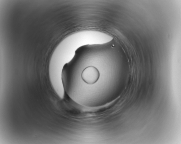 X0000088690552200706211928