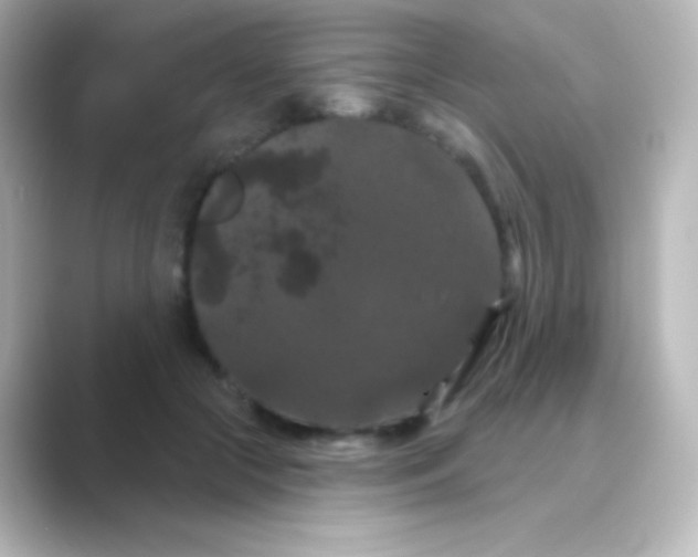 X0000088690553200706211929