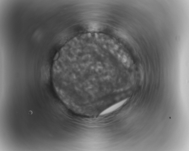 X0000088690554200706211929