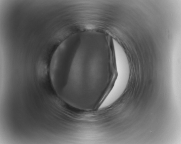X0000088690555200706211929
