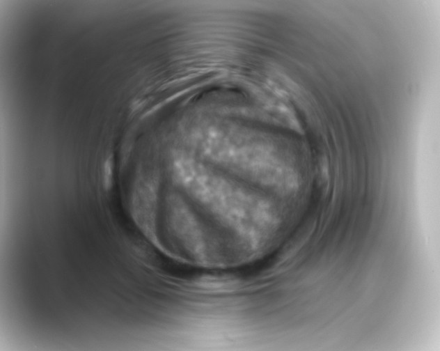 X0000088690556200706211929