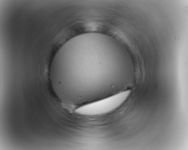 X0000088690557200706211929