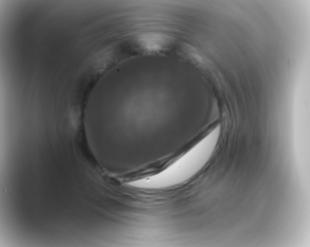 X0000088690559200706211929