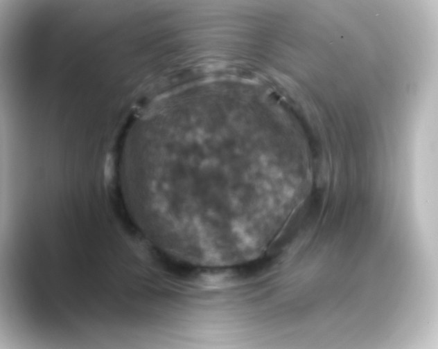 X0000088690560200706211929