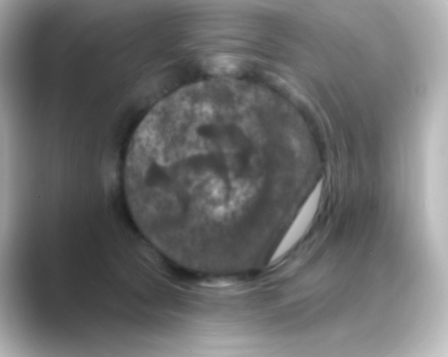 X0000088690561200706211929