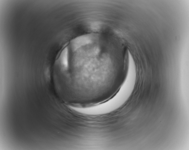 X0000088690562200706211929
