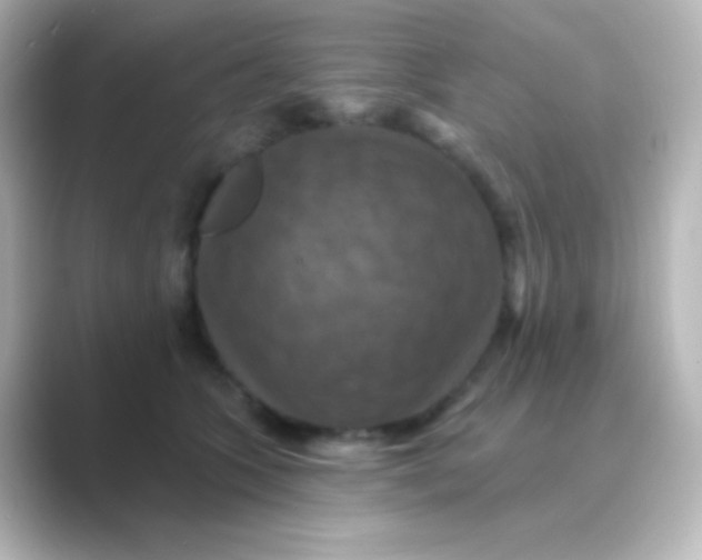 X0000088690563200706211929