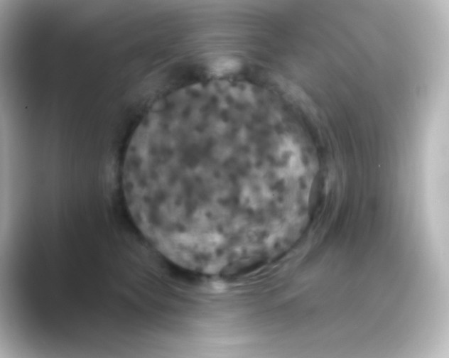 X0000088690565200706211929