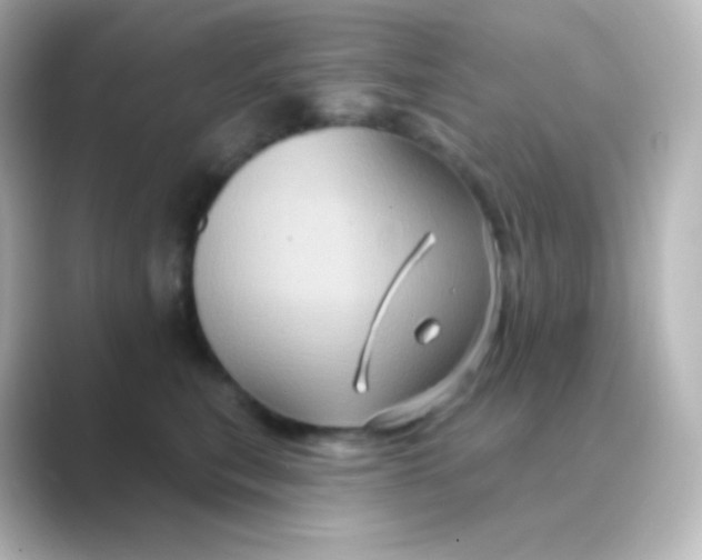 X0000088690567200706211929