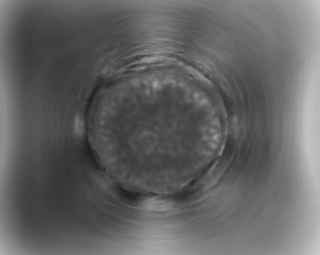 X0000088690568200706211929