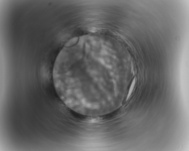 X0000088690569200706211929