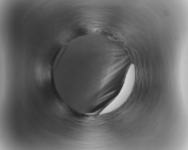 X0000088690570200706211929