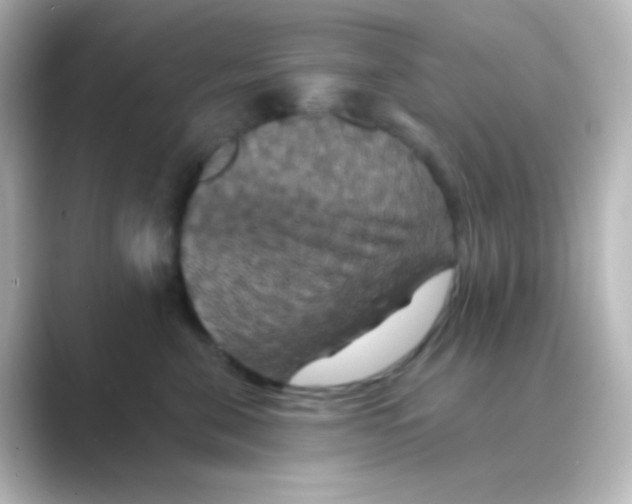 X0000088690571200706211929