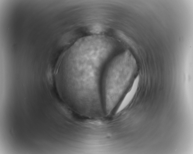X0000088690572200706211929