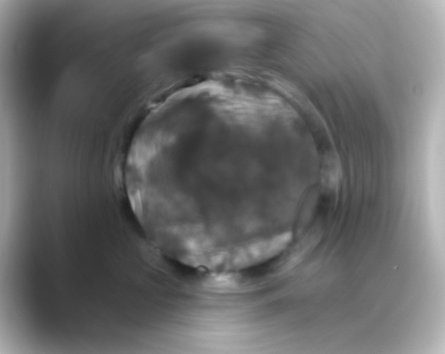 X0000088690573200706211929