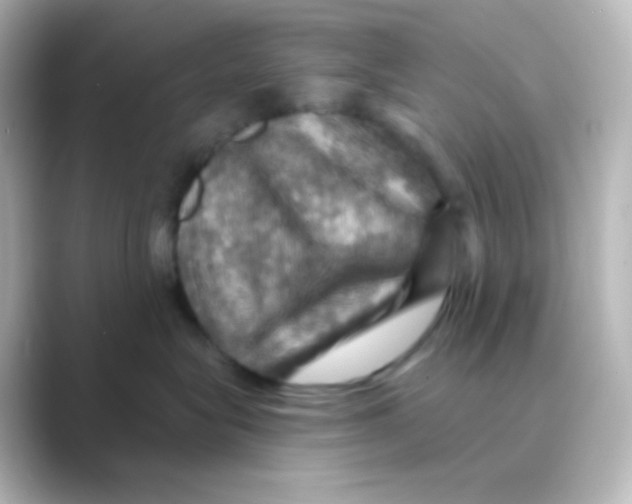 X0000088690575200706211929