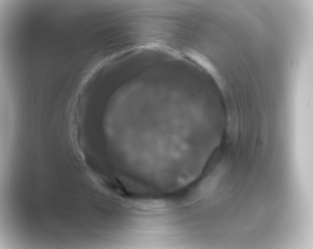 X0000088690577200706211928