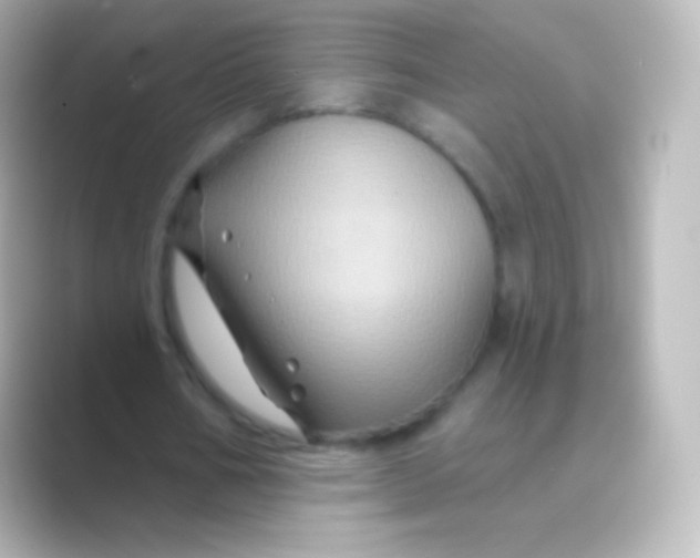 X0000088690578200706211928