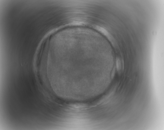 X0000088690579200706211928