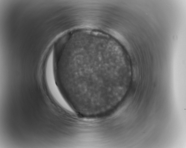 X0000088690580200706211928