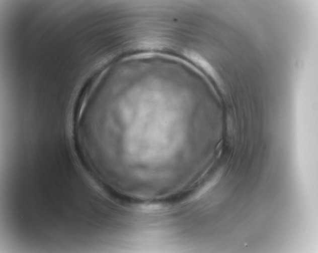 X0000088690581200706211928