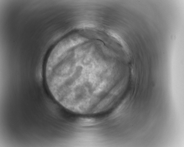 X0000088690582200706211928