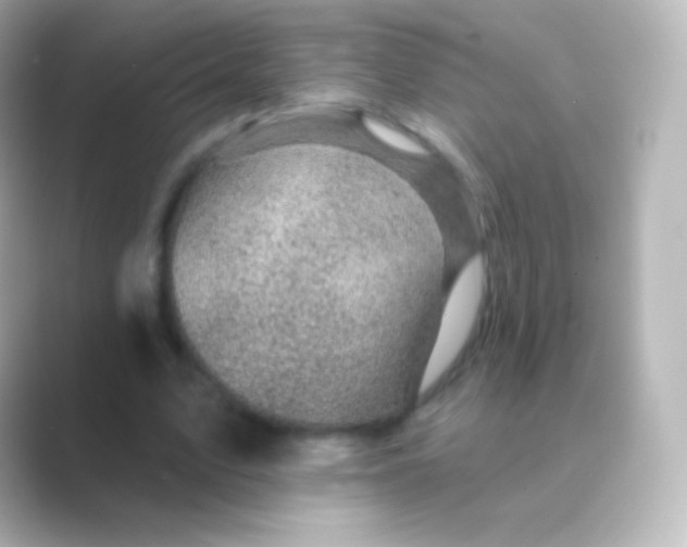 X0000088690583200706211928