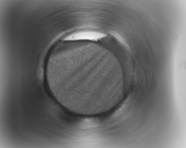 X0000088690584200706211928